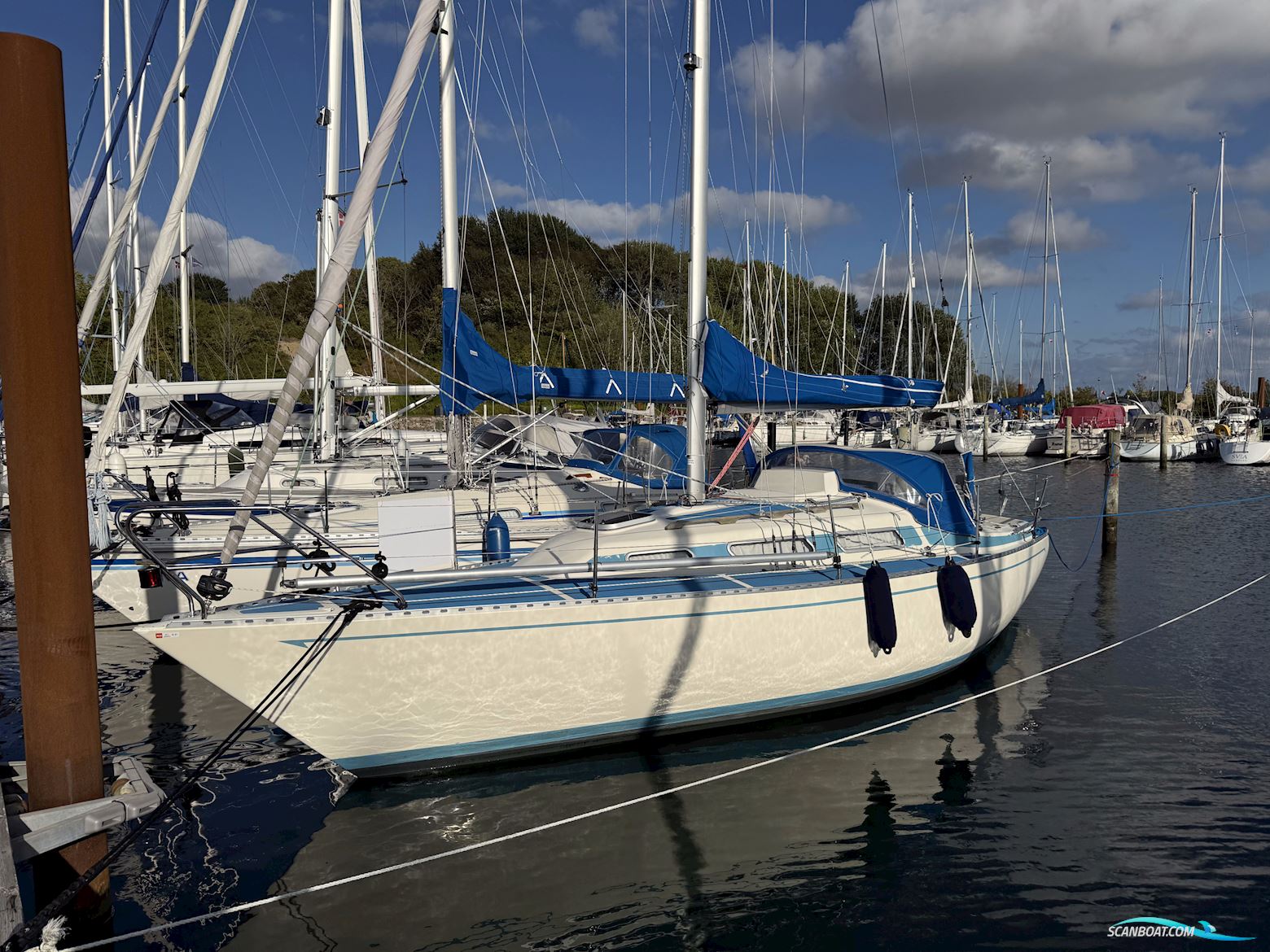 Colina L29