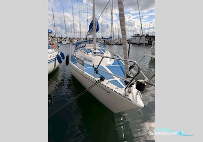 Colina L29 Zeilboten 1985, met Bukh motor, Denemarken