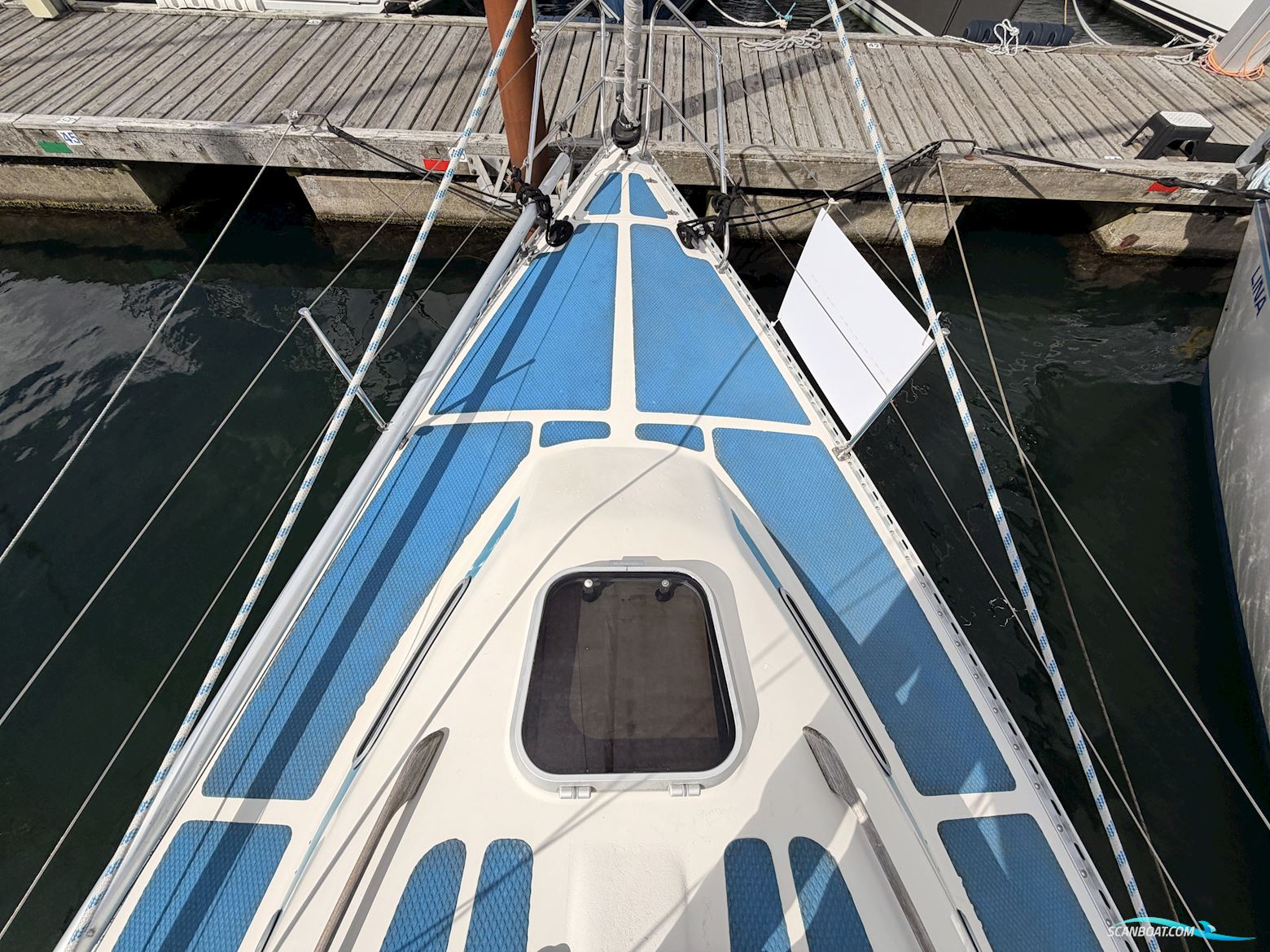 Colina L29