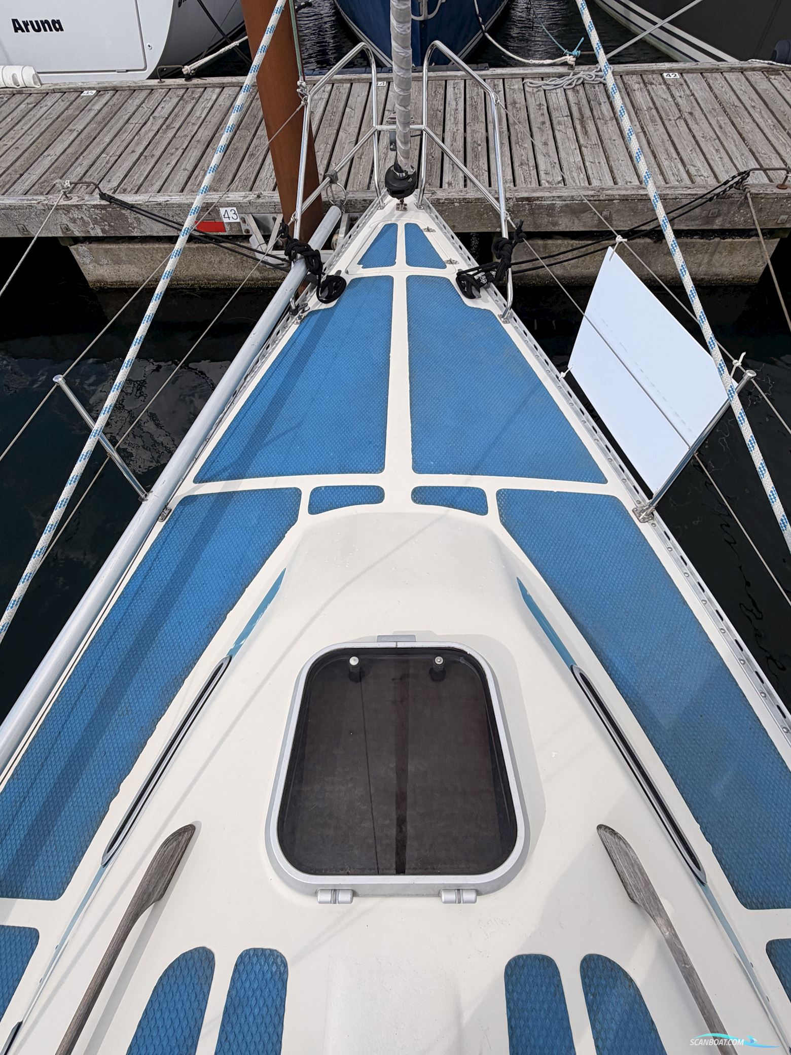 Colina L29