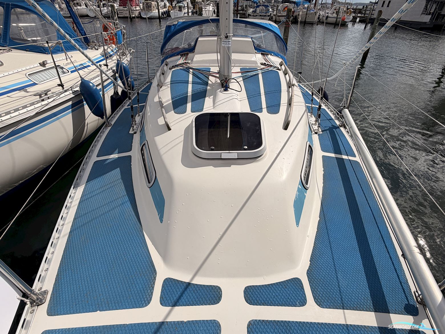 Colina L29