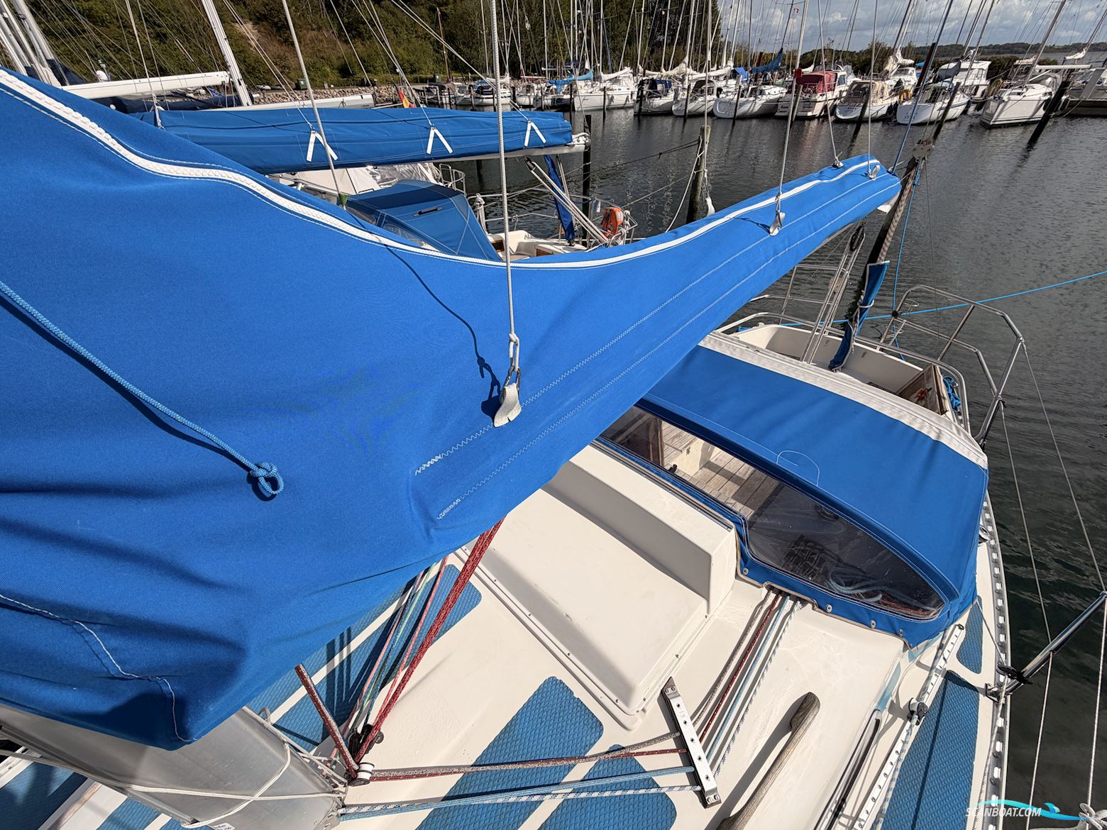 Colina L29