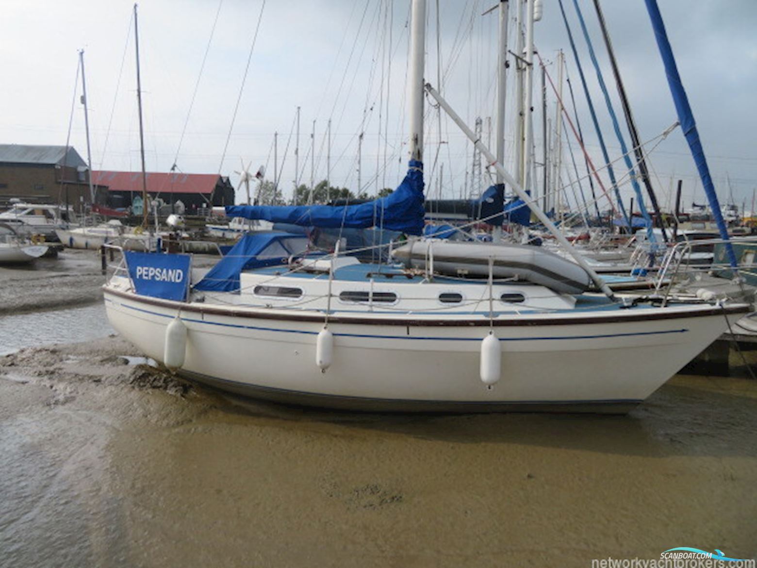 Colvic Countess 28