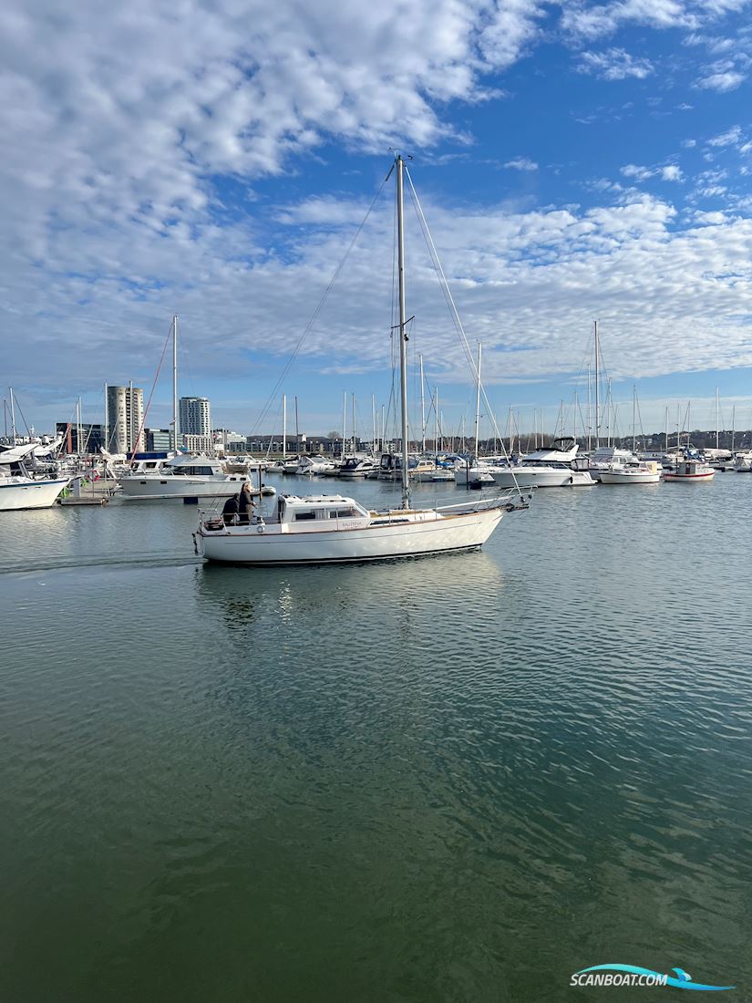 Colvic Victor 34