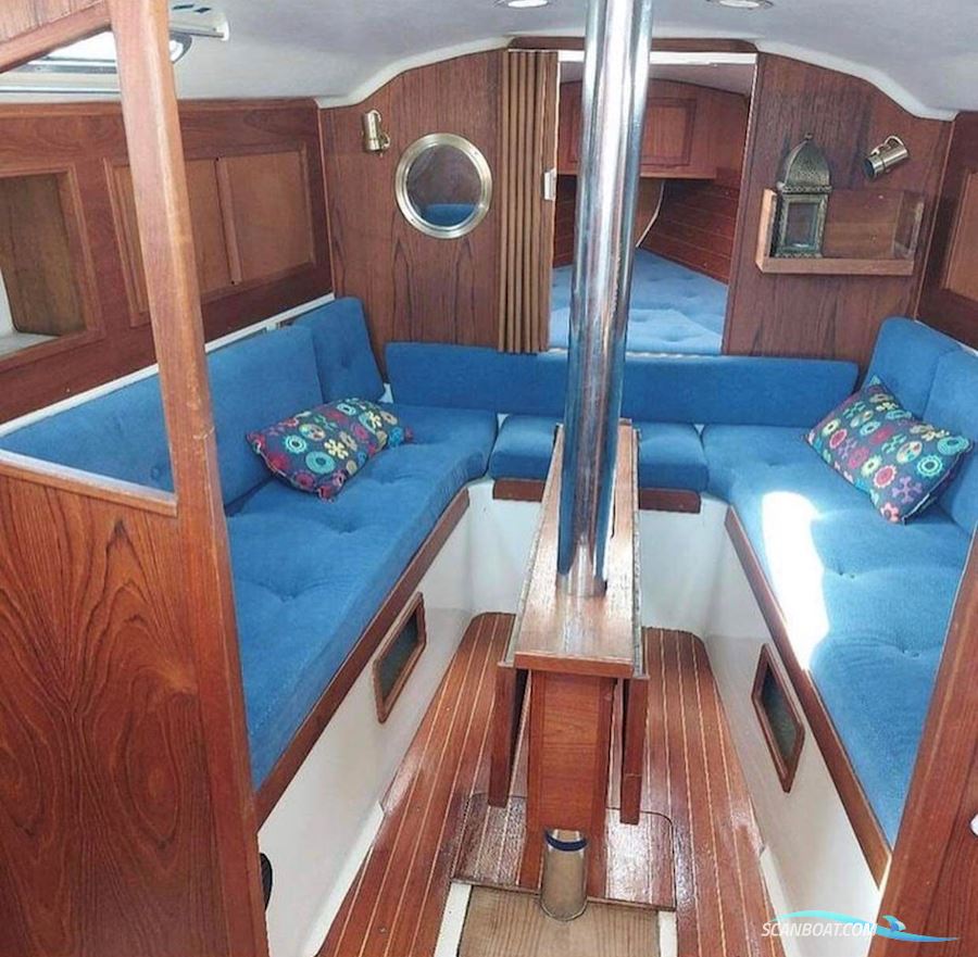 Comfort 32 Commander