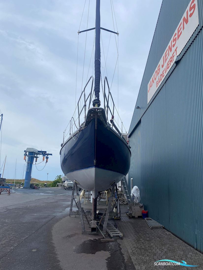 Comfort 32 Commander