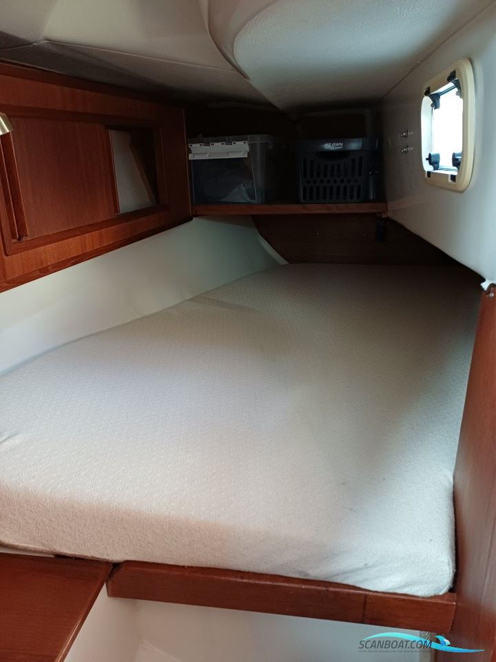Comfortina 32