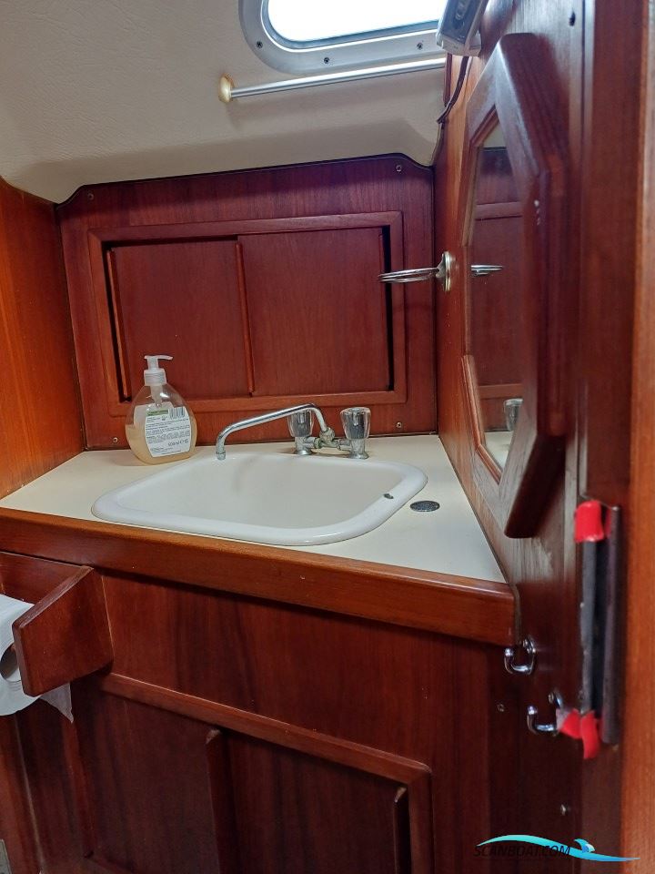 Comfortina 32