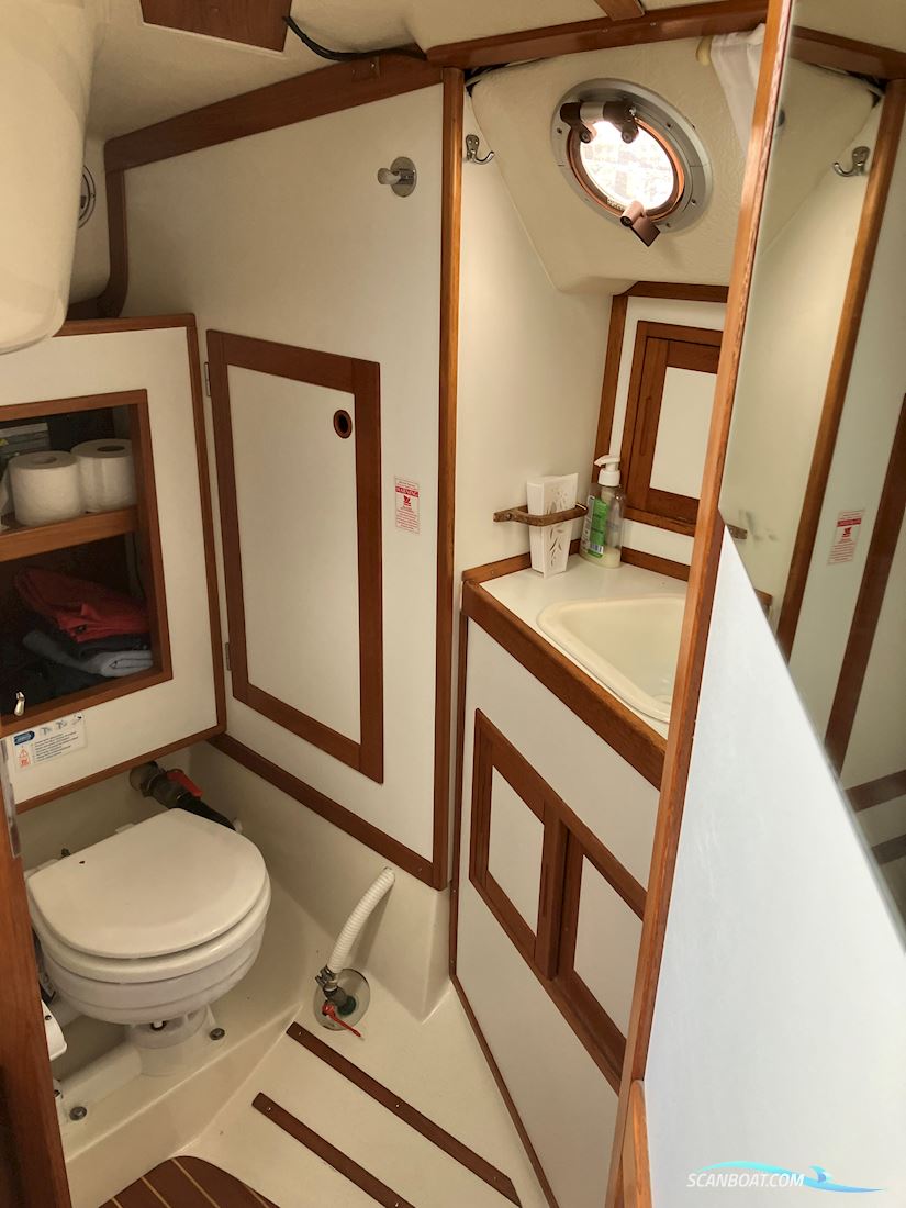 Comfortina 32