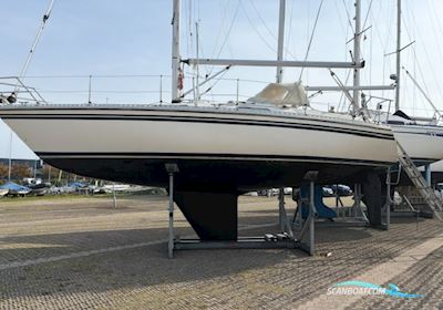 Comfortina 32 Zeilboten 1985, met Volvo Penta D1-20 motor, Denemarken