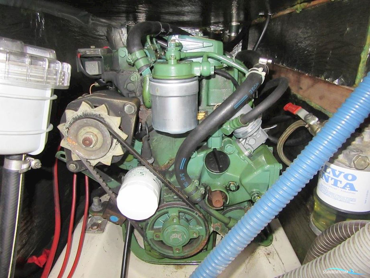 Comfortina Cayenne 42