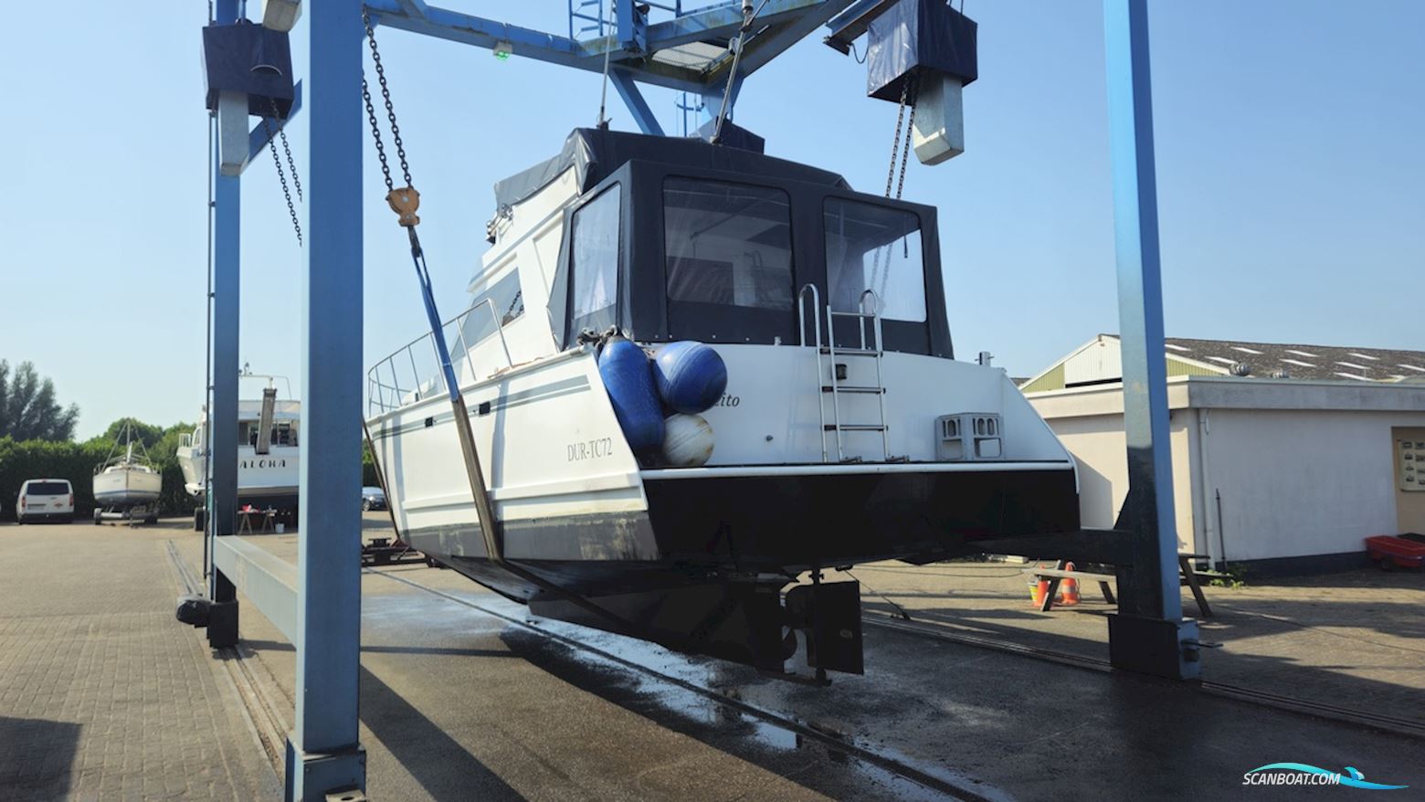 Condor 105 Fly