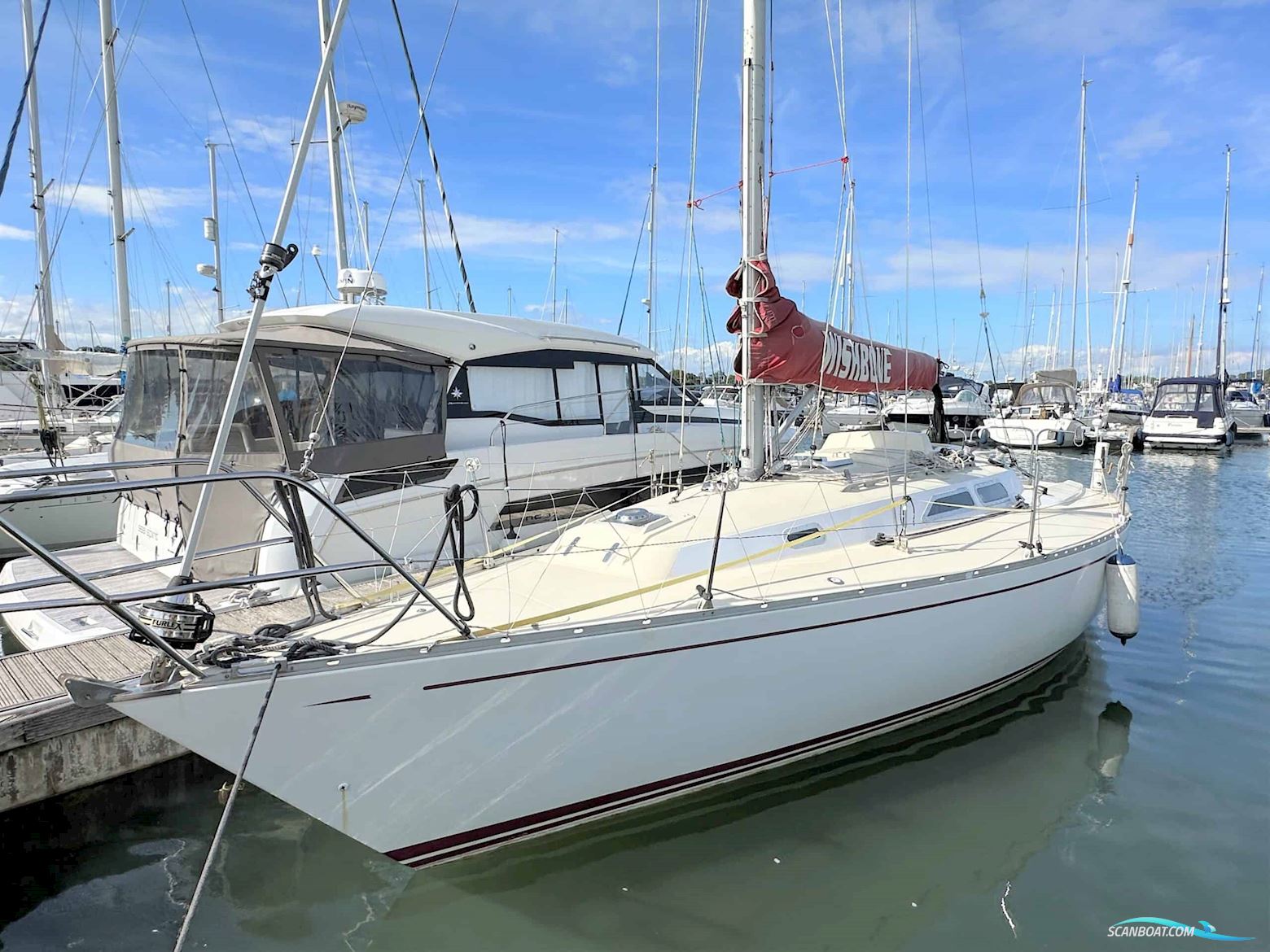 Contessa 33