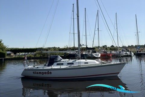Contessa 34 OOD