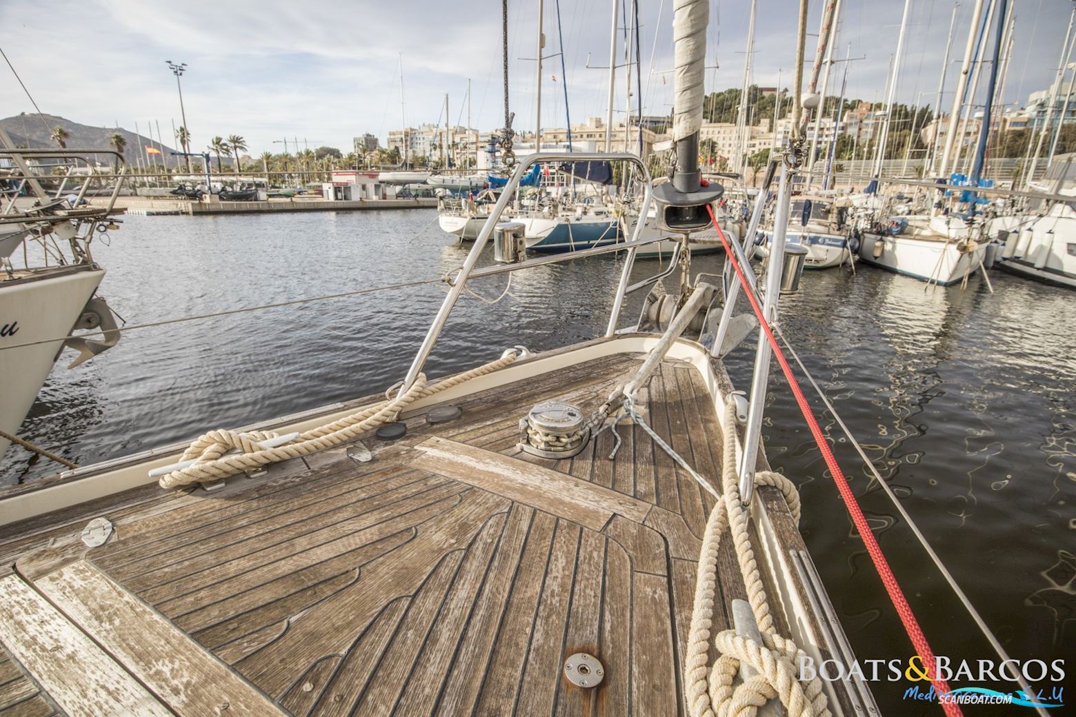 Contest Yachts 43