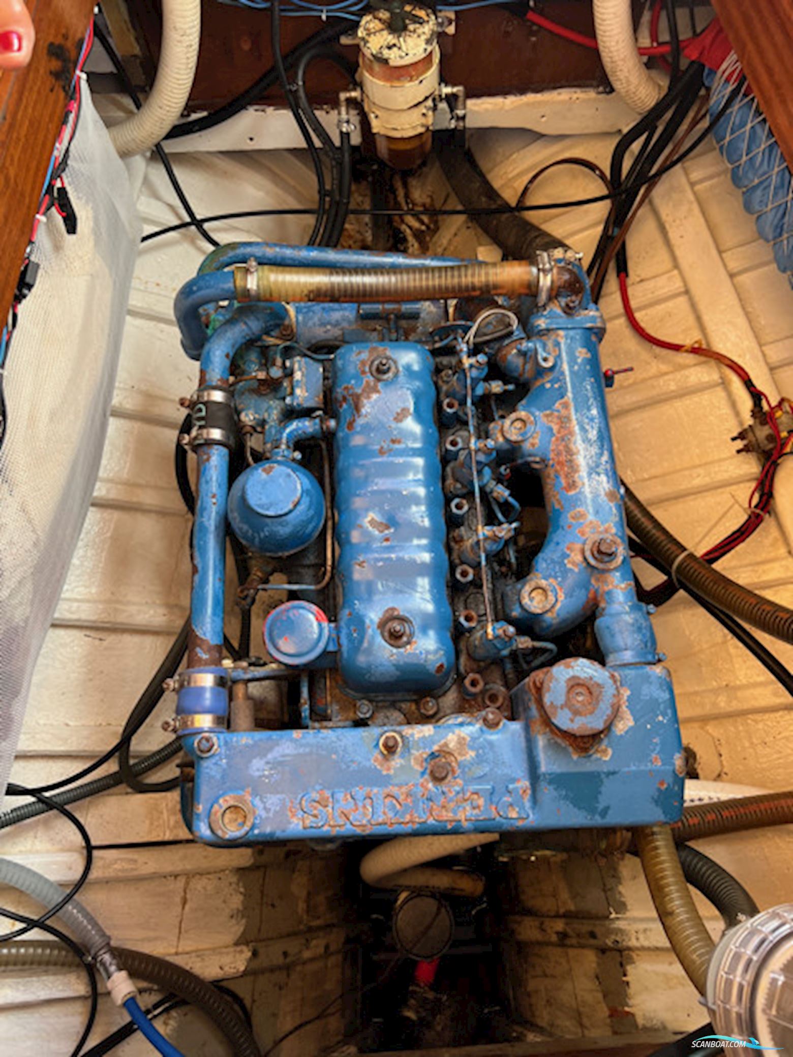 Custom Built Boat Erytheia Cotre Juan Alsine