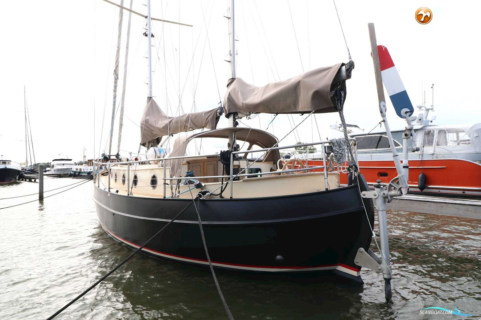 Danish Rose 42
