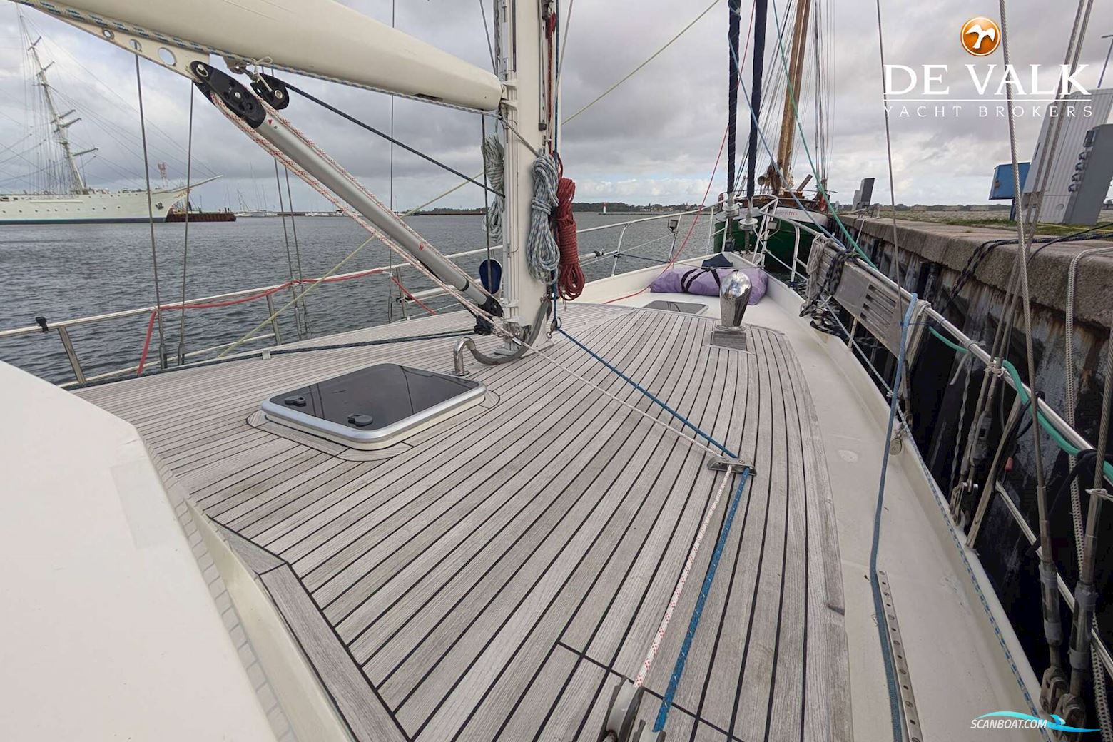 Danish Rose 42