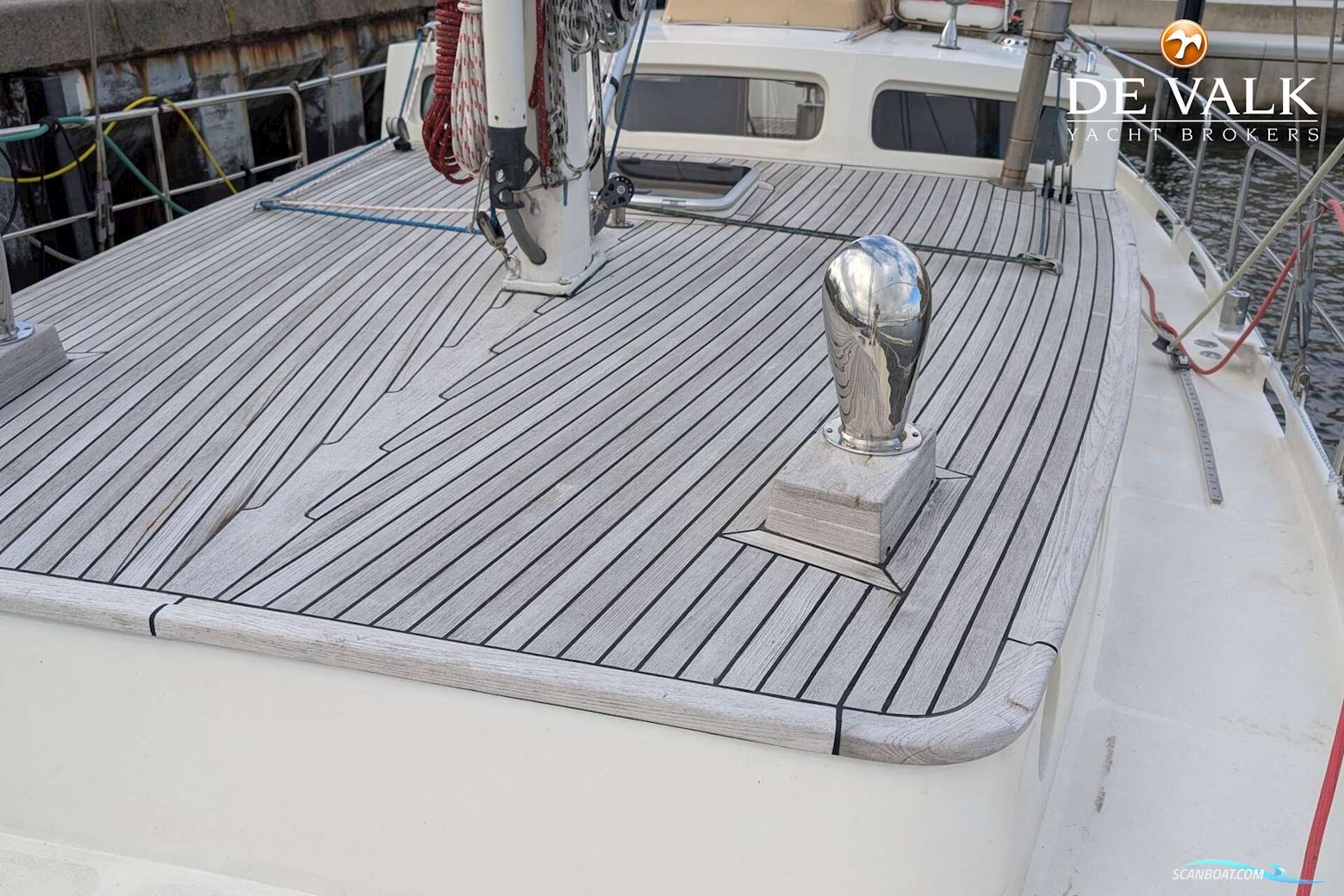 Danish Rose 42
