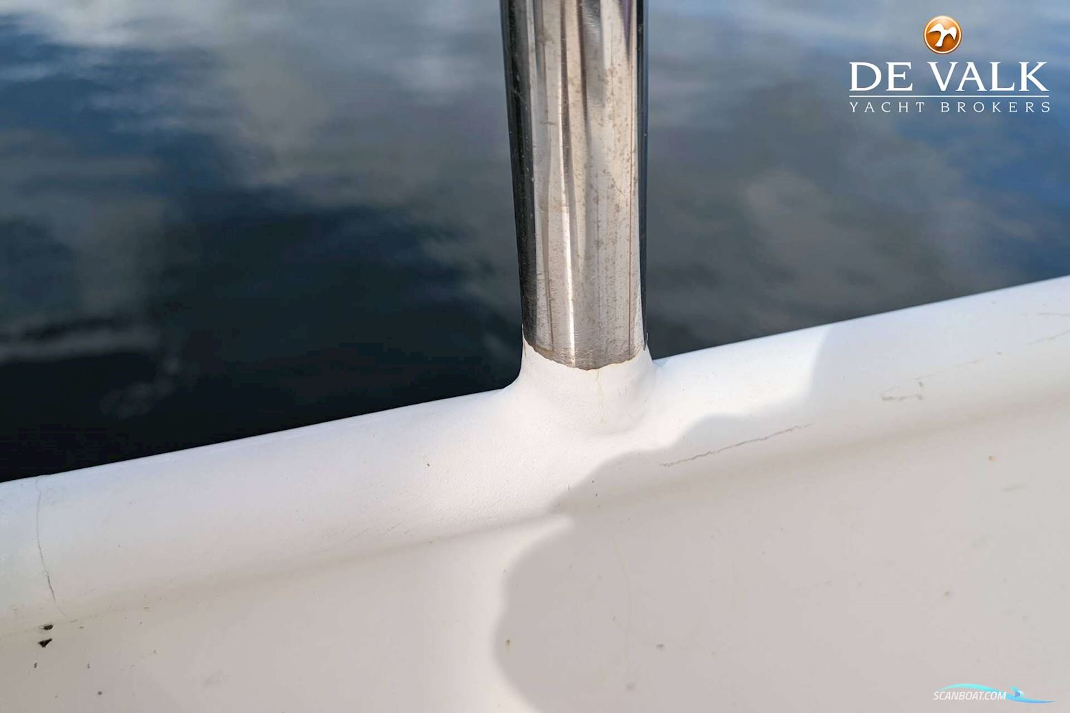 Danish Rose 42