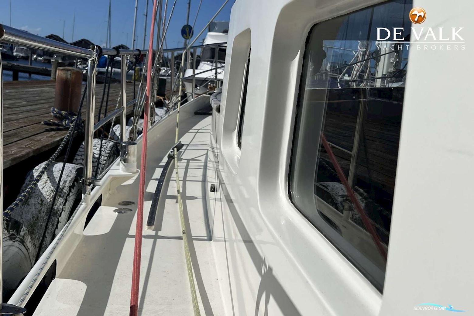 Danish Rose 42