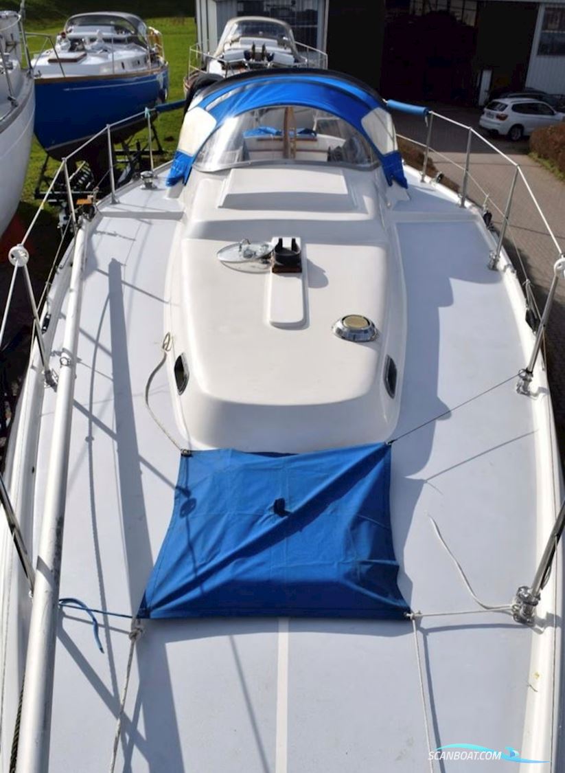 Deerberg Beryll 30