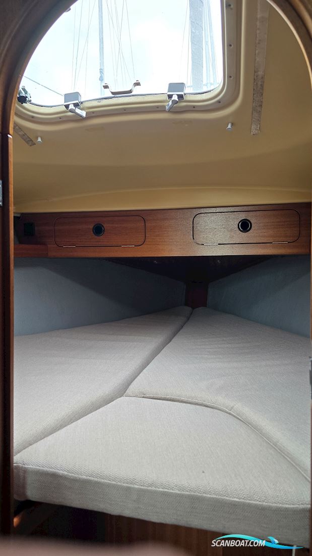 Dehler 31