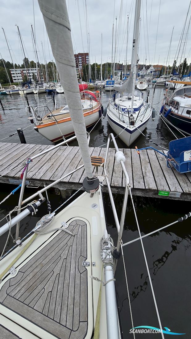 Dehler 31