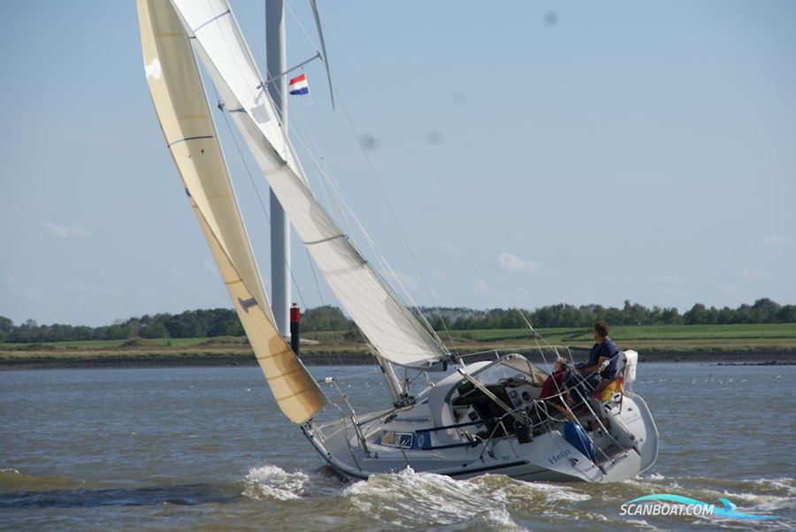 Dehler 31 Top Zeilboten 1992, met Yanmar 2GM20 motor, Duitsland