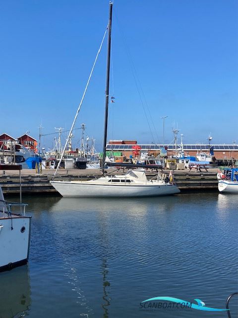 Dehler 34 Optima 101