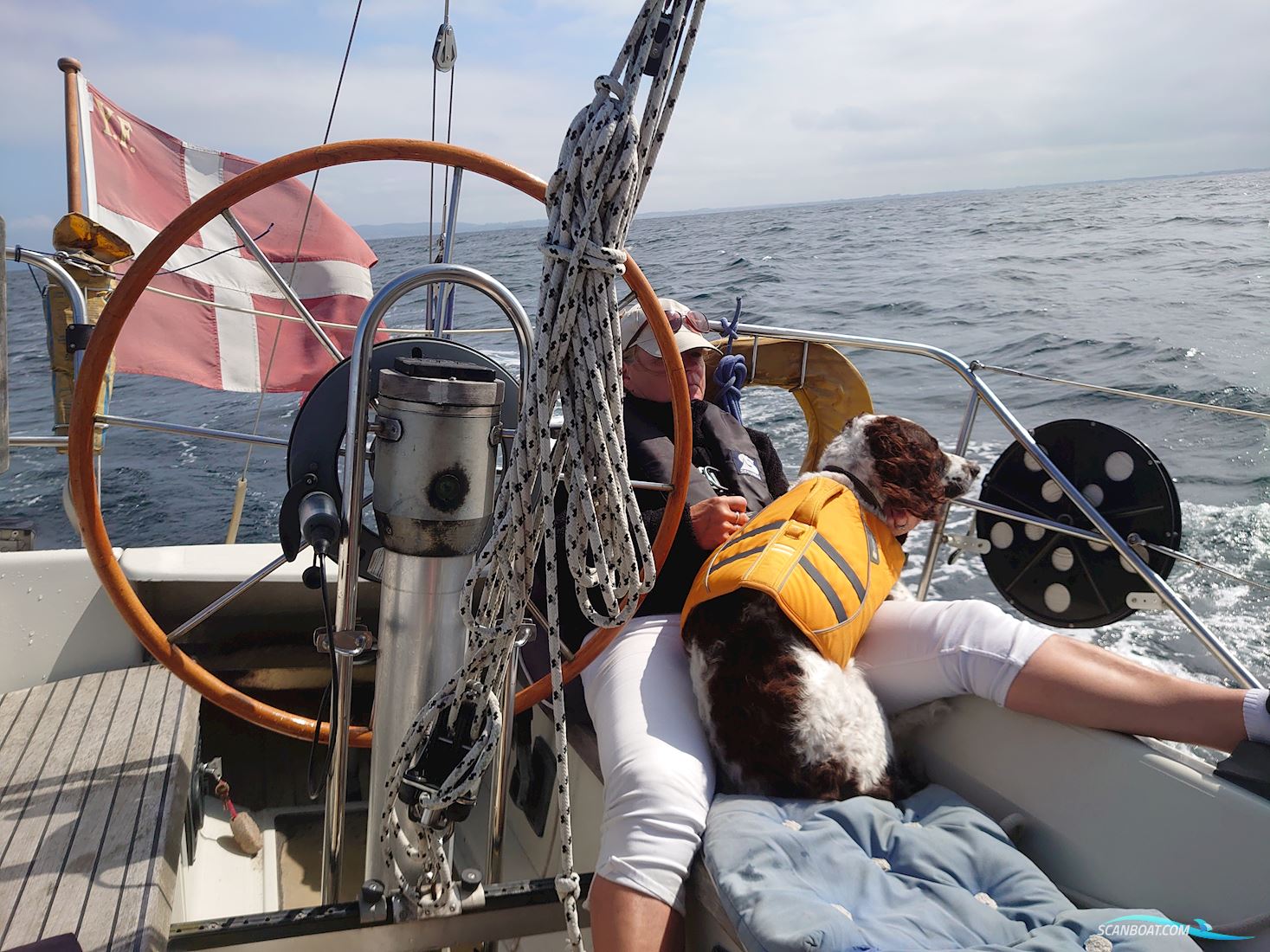 Dehler 34 Optima 101