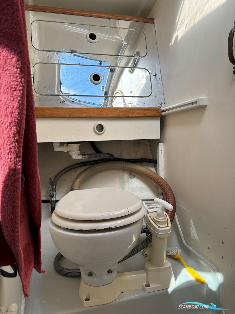 Dehler 34 Optima 101