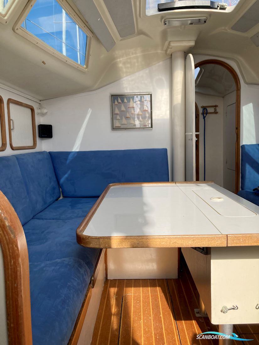 Dehler 34 Optima 101