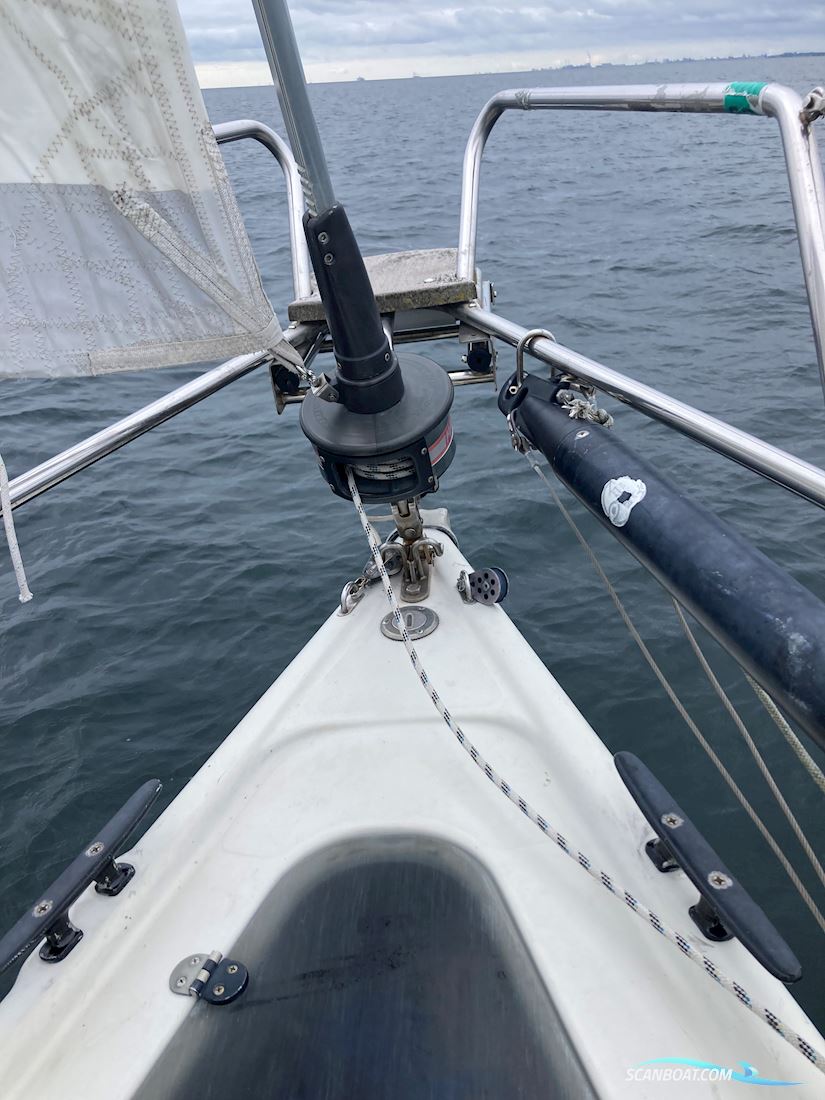 Dehler 34 Optima 101