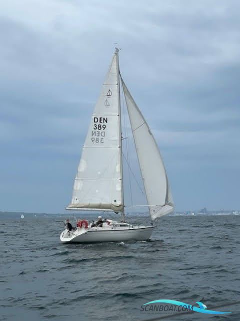 Dehler 34