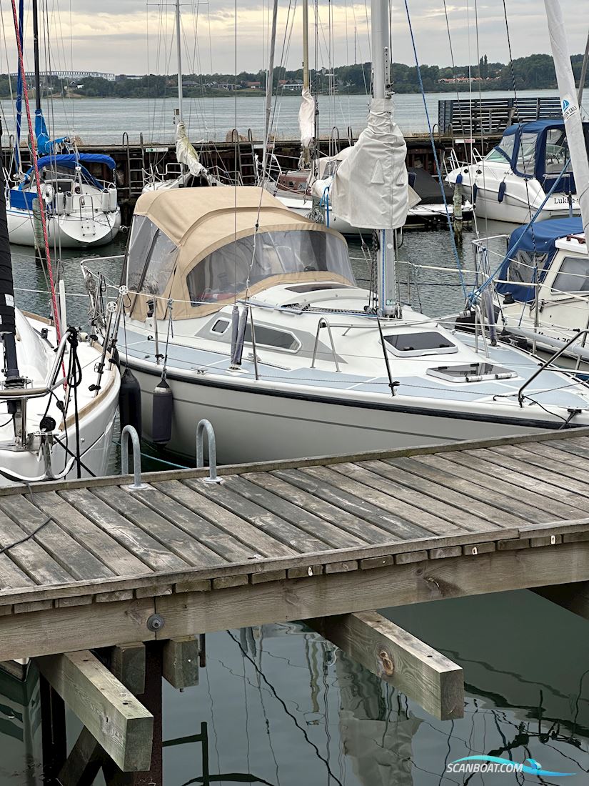Dehler 34