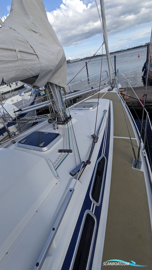 Dehler 35 Cws