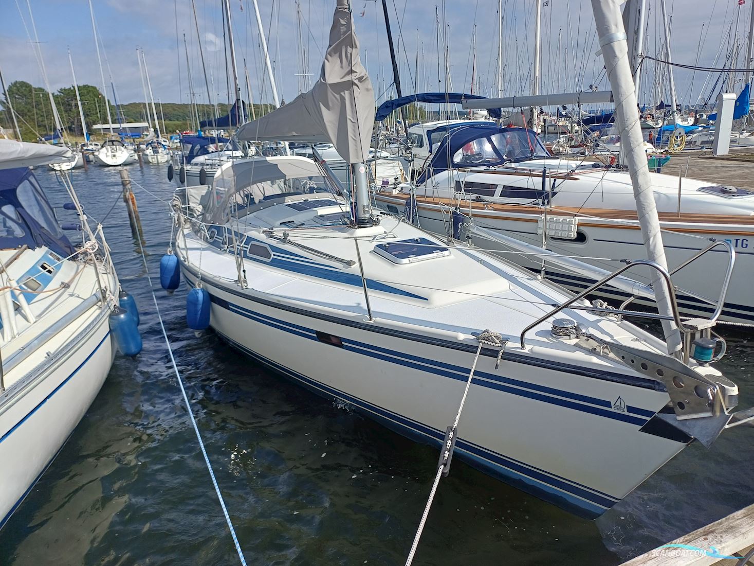 Dehler 35 Cws