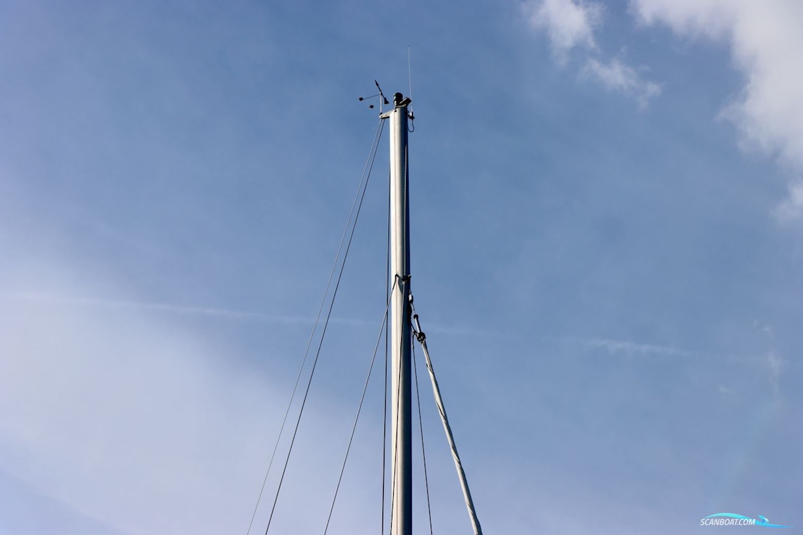 Dehler 36 CWS topline