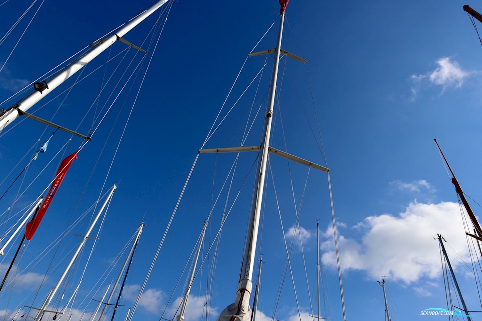 Dehler 36 CWS topline