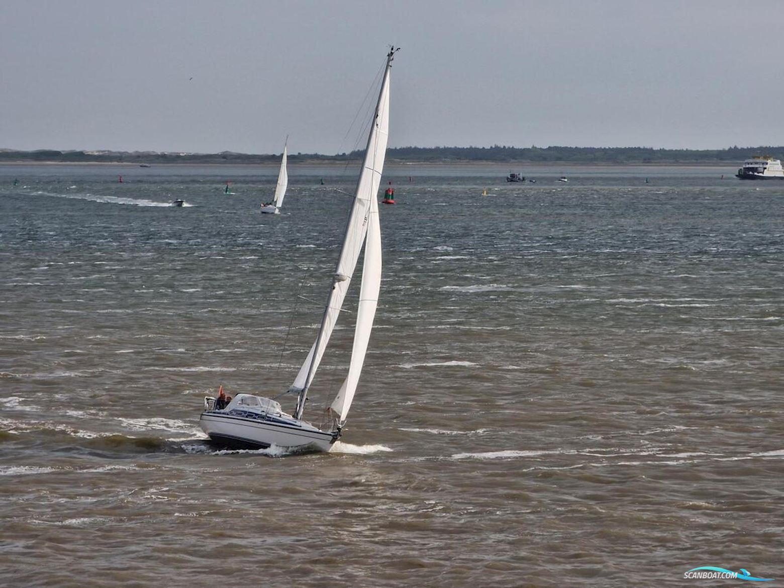 Dehler 37