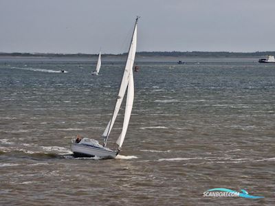Dehler 37 Zeilboten 1997, The Netherlands