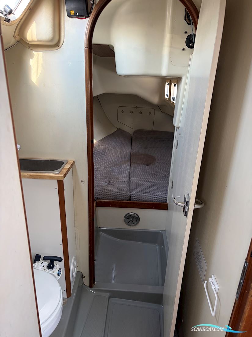 Dehler 38