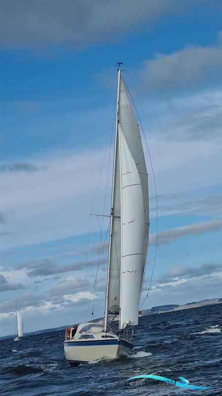 Dehler Duetta 94