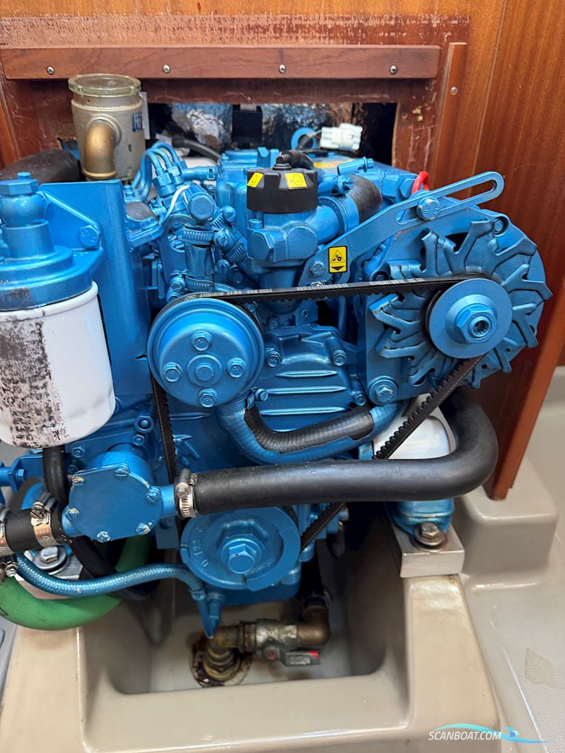 Dehler