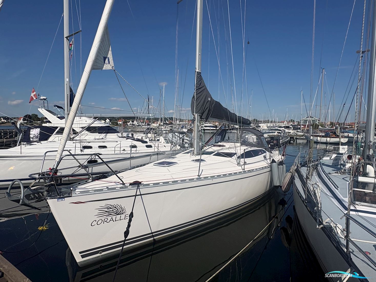 Delphia 40