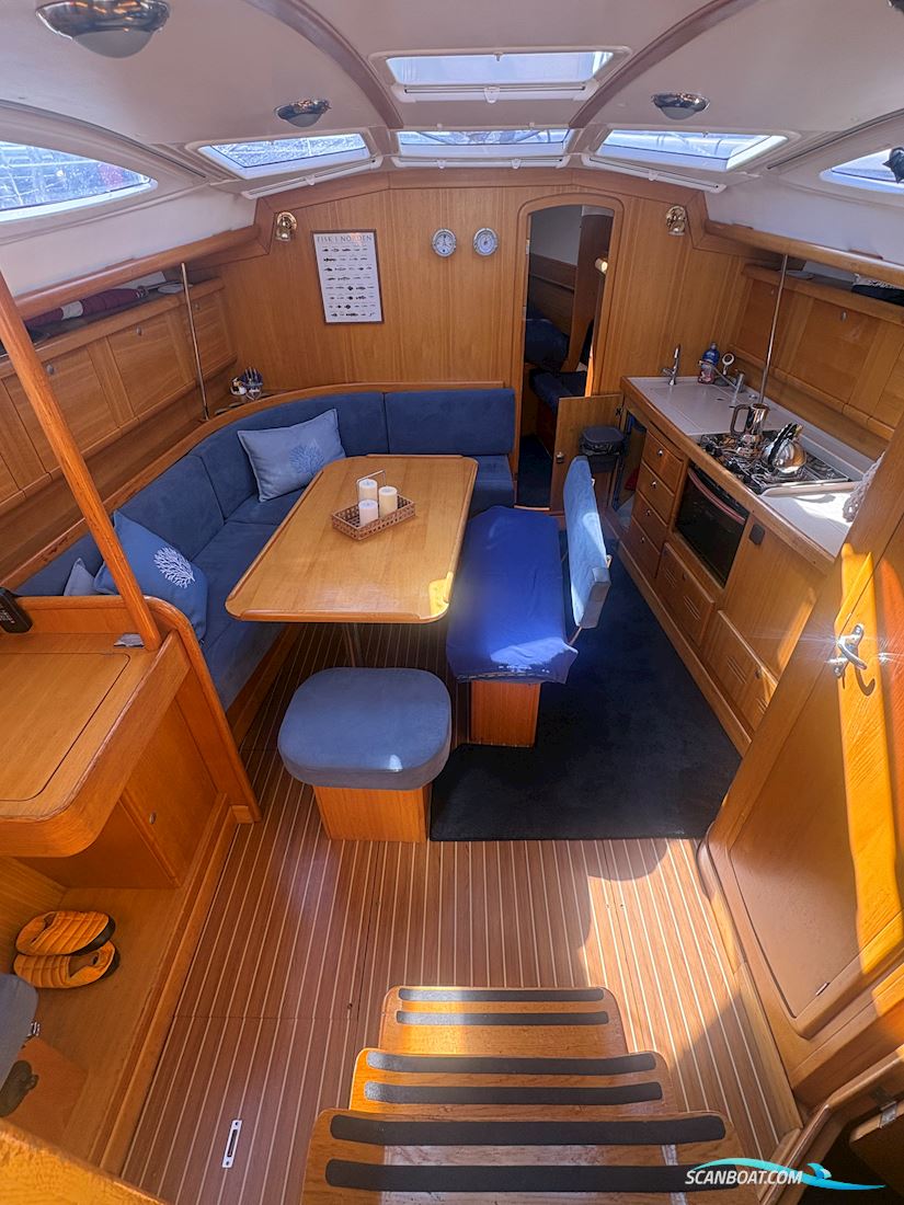 Delphia 40