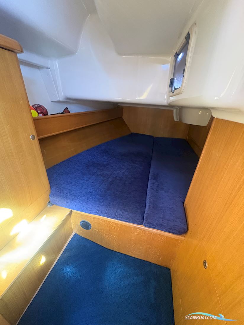 Delphia 40