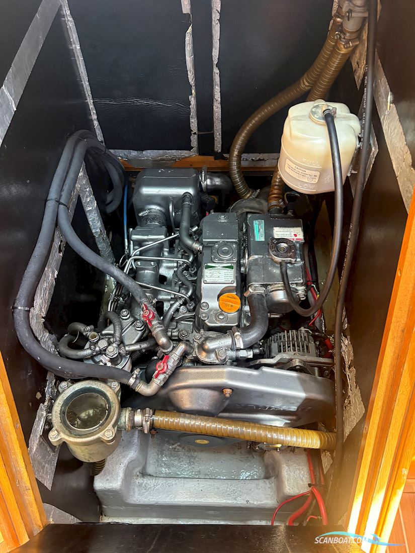 Delphia 40