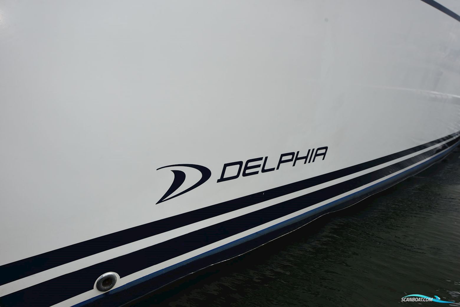 Delphia Delphia 33,3